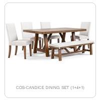 COS-CANDICE DINING SET (1+4+1)